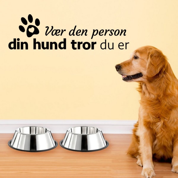 Vær den person din hund tror du er. Sød hundewallsticker.21x72cm Vær den person din hund tror du er. Sød hundewallsticker.21x72cm - Billede 2