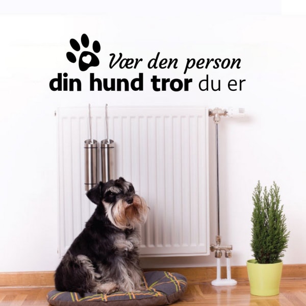 Vær den person din hund tror du er. Sød hundewallsticker.21x72cm Vær den person din hund tror du er. Sød hundewallsticker.21x72cm - Billede 3