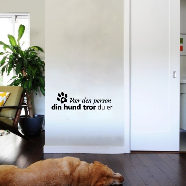 Vær den person din hund tror du er. Sød hundewallsticker.21x72cm Vær den person din hund tror du er. Sød hundewallsticker.21x72cm - Billede 4